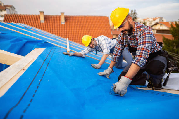 Best Roof Replacement Cost  in Vernon Hls, IL